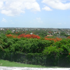 036-view from fort
